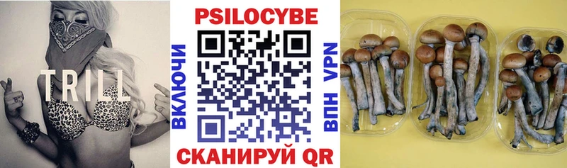 где продают наркотики Чебоксары Галлюциногенные грибы прущие грибы